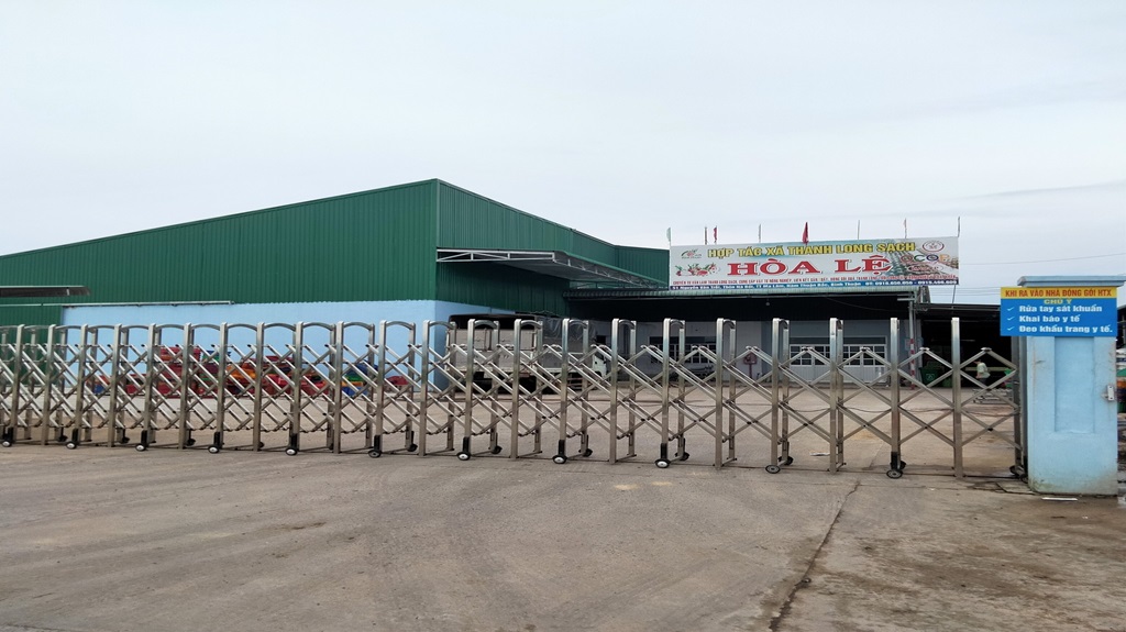 Fiore Farm Hợp Tác Với Nhà Máy HTX Hòa Lệ