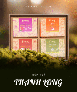 [A00] Hộp quà Thanh Long - Quà tặng từ thiên nhiên