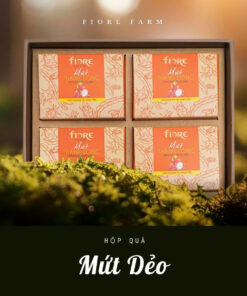 [A00-02] Hộp quà Mứt Thanh Long