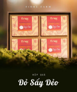 [A00-03] Hộp quà Thanh long đỏ sấy dẻo