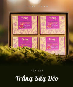 [A00-01] Hộp quà Thanh long trắng sấy dẻo