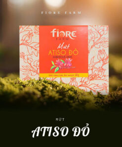 [A09] Mứt Atiso đỏ